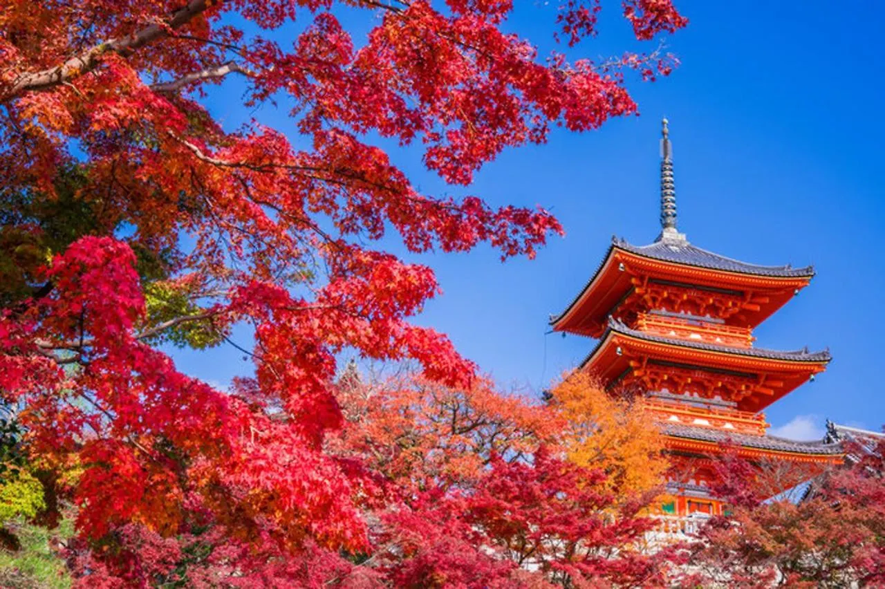 北巽サクラハウス一軒家 Sakura House Guest House Kitatatsumi 最大16名 Osaka Holiday home