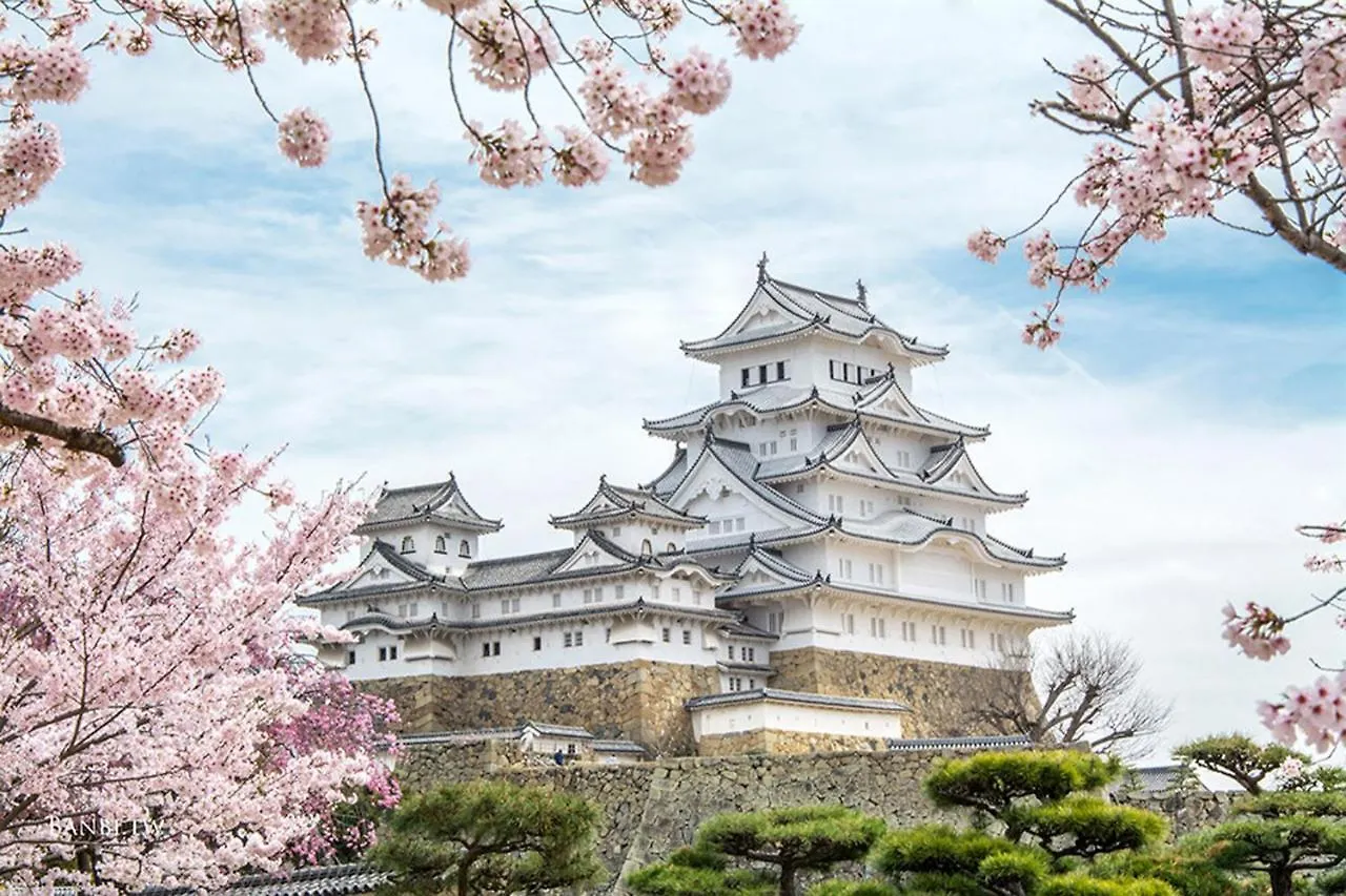 北巽サクラハウス一軒家 Sakura House Guest House Kitatatsumi 最大16名 Osaka